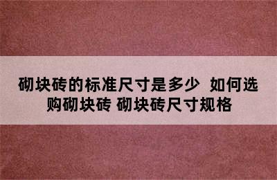 砌块砖的标准尺寸是多少  如何选购砌块砖 砌块砖尺寸规格